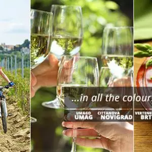Colors of Istria as a great example of branding the region