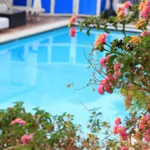 Cappelli:U dvije godine financirano više od 30 bazena za privatne iznajmljivače u Imotskoj krajini