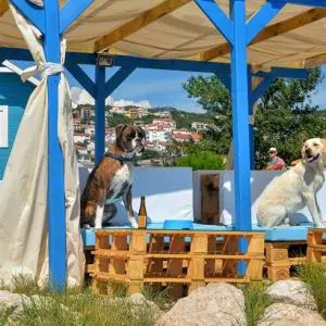 U Crikvenici svečano otvoren prvi kafić za pse