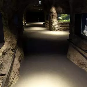 Otvoren jedinstven slatkovodni akvarij Aquatika u Karlovcu
