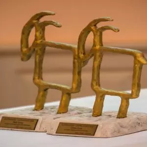 Open call for applications for the Golden Goat-Capra d'oro 2021 award.