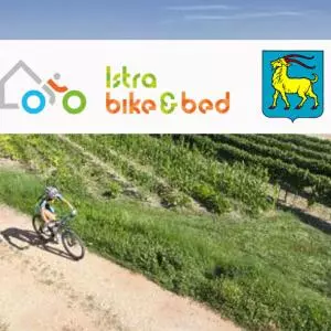 Public call for grants for diversification of private accommodation ISTRIA BIKE & BED