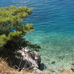 U Hrvatskoj more iznimne kvalitete
