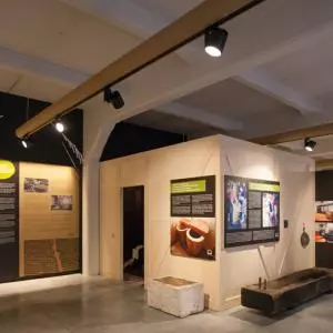 The first museum of olive growing in Croatia "Museum Olei Histriae" opened in Pula