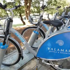 In the first 7 days, Poreč Bike Share attracted more than 300 users