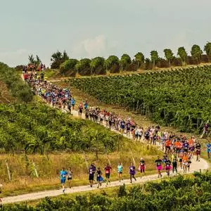 Završen četvrti Istrian Wine Run - odličan koncept koji povezuju dvije strasti i doživljaja te tako daje odličan motiv dolaska u Istru