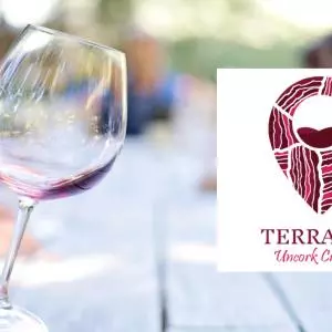 Terravin platform as an excellent rounded tourist and wine story about wine tourism in Croatia