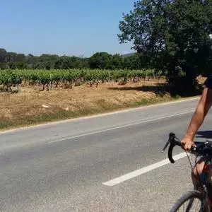 Krešimir Herceg, Bicikademija: The potential of cycling tourism in Slavonia is huge