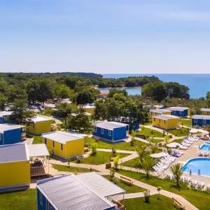 FINA: In 2019, half of the camps operated at a profit, and the other half reported a loss