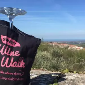 Find out why Istria Wine & Walk is one of the best tourist stories in Croatia