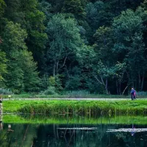 Papuk Nature Park was visited by more than 10.000 visitors this year