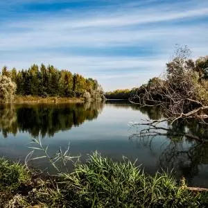 UNESCO declared the area of ​​the Mura, Drava and Danube a biosphere reserve