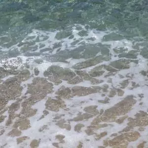 Onečišćenje mora na plažama hotela Rixos Libertas i Plat, ne preporučuje se kupanje