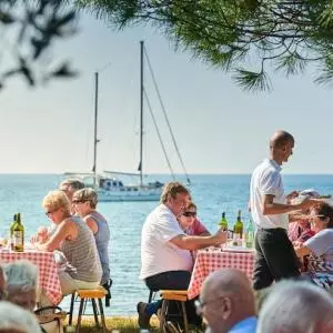More than 700 guests come to Novigrad every year to harvest olives