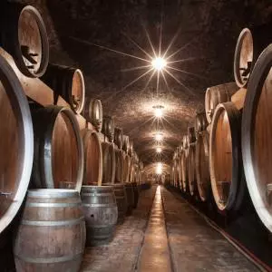 Zakon o vinu ide u Sabor: Uspostavljaju se četiri marketinške vinske regije