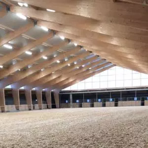 EVAGO, an equestrian center where Equus caballus will enjoy luxury