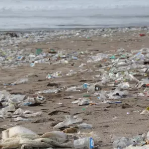 From 2021, disposable plastic items will be banned in the EU