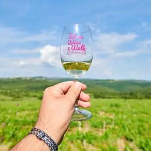 In how many days or hours will all tickets for the Istria Wine and Walk event sell out this year?