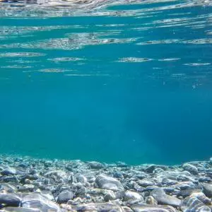 Hoće li Hrvatska zaštiti svoje podmorje kroz “no take” zone? Bez riba nema niti ronilačkog turizma