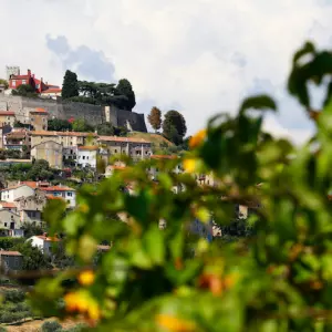 Motovun Film Festival from this year without disposable plastic