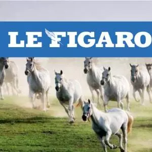 Francuski magazin Le Figaro objavio reportažu o Slavoniji