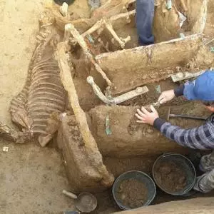 Unique archaeological discovery: Roman chariot with horses found