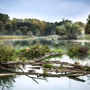 WWF: UNESCO-u poslana nominacija za Petodržavni rezervat biosfere Mura-Drava-Dunav