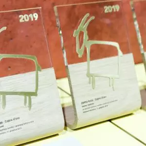Winners of the Golden Goat - Capra d'oro 2019 awards announced