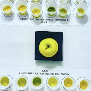Među 500 najboljih ekstra djevičanskih maslinovih ulja svijeta, 15% nalazi se u Istri