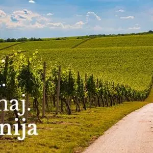 Slavonia.Travel - nova digitalna platforma pet slavonskih županija