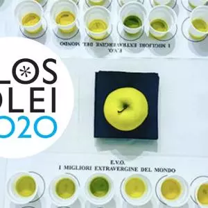 FLOS OLEI 2021: Istra šestu godinu zaredom najbolja svjetska regija za ekstra djevičansko maslinovo ulje