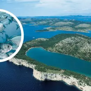 Croatia got the first zones without fishing, in cooperation with fishermen! This is a big step forward and a win-win for everyone