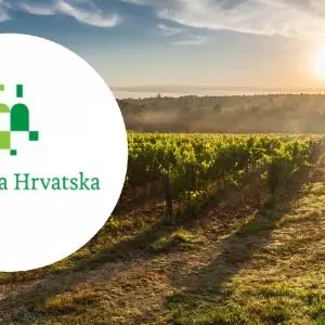 The Bregovita Hrvatska Association will soon become a recognized regional organization of winemakers