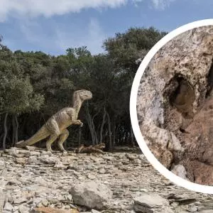 Fosili dinosaura i njihova nalazišta proglašena zaštićenim dijelom prirode