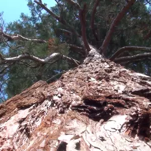 EPIcentar Sequoia Slatina postaju "Zelena vrata" Slavonije