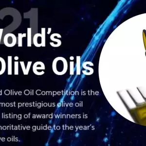 Croatia is the fourth in the world in the number of medals for top olive oils