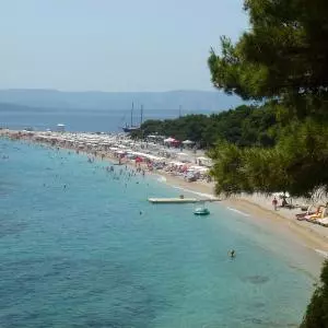 CBS: Tourist trips organized by Croatian travel agencies in 2021.
