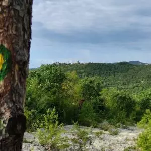 Aurania - a new hiking trail in central Istria