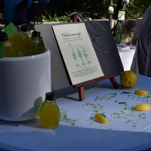 Students of the School of Tourism and Hospitality Management Šibenik presented the cocktail "Liquid Emerald"