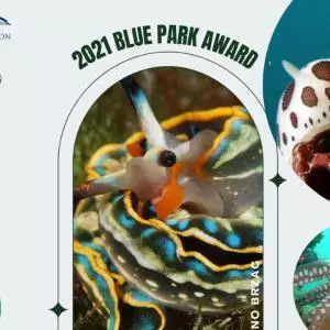 Nacionalnom parku Brijuni dodijeljena nagrada globalne mreže za očuvanje mora - Blue Park