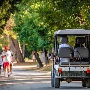 NP Brijuni nabavljaju 24 električnih turističkih vozila