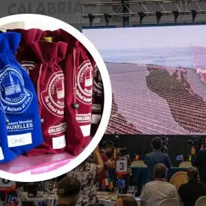 Veliko priznanje istarskim vinarima: Concours Mondial de Bruxelles 2023. dolazi u Istru