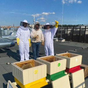 Marriott Prague na svojem krovu pokrenuo program pčelinjih hotela
