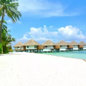 Summer Island Maldives implements an ecological method of eliminating mosquitoes