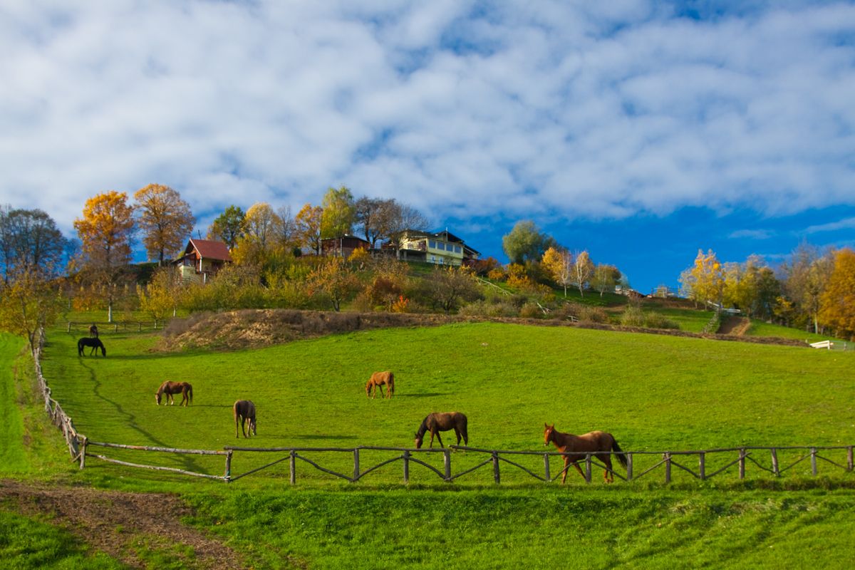 Agrotourism on a small hill in the so-called Bjelovar Bilogora county