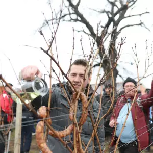 Vincekovo bez granica - kako Schengen pridonosi ljepšim vinskim pričama