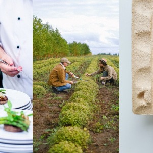 Turizam stvara izravnu potražnju za ekološkim poljoprivrednim proizvodima