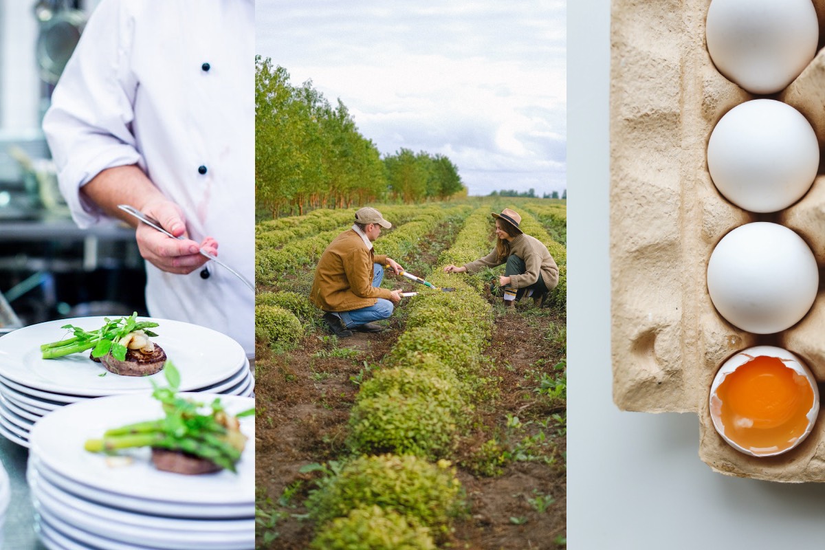 Poljoprivreda turizam