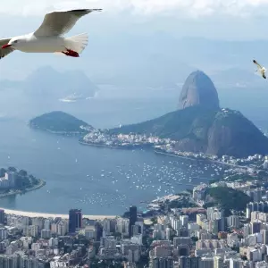 Protests against the construction of a zipline on Sugarloaf Mountain in Rio de Janeiro
