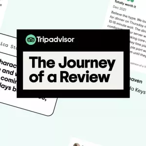 TripAdvisor: The total number of reviews increased by +20%